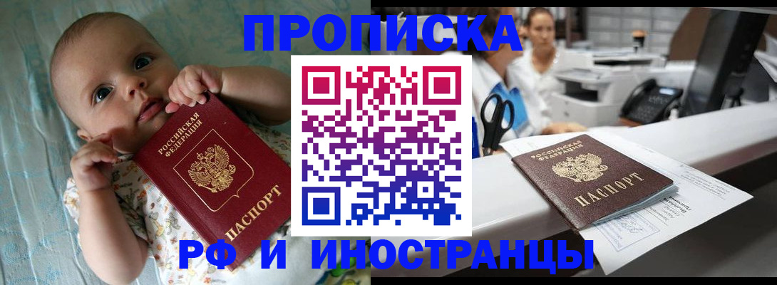 прописка поиск в Ленинградской области